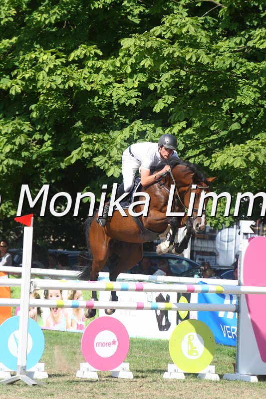 308M3695_Wild Princess_Springpferde Mx.JPG